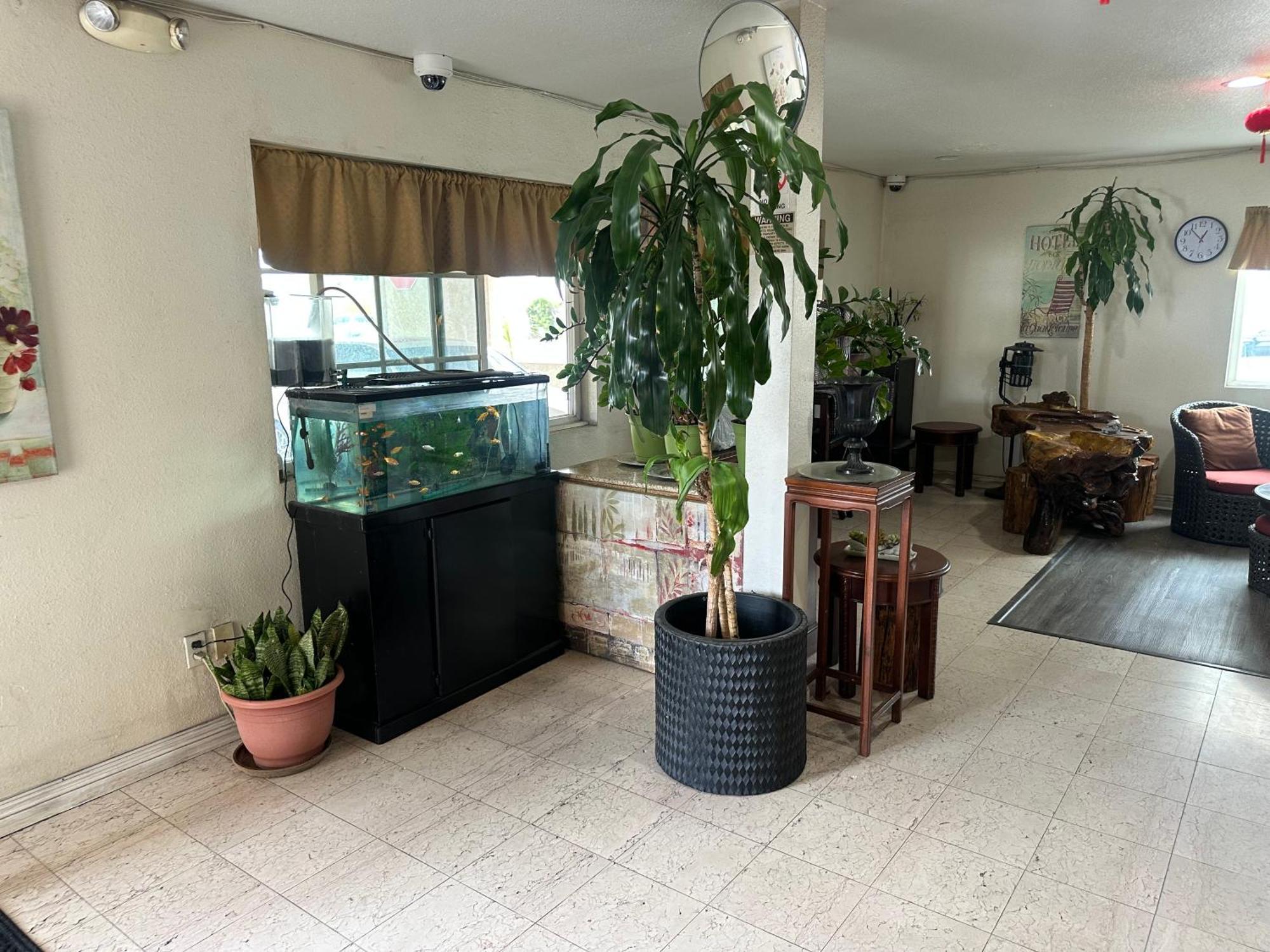 Palm Inn Motel - Rosemead, Los Angeles 외부 사진